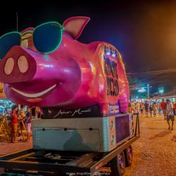 carna_porco_2020_dia_1_nkhkpg8jnw.jpg