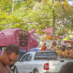 carna_porco_2020_dia_2_h5tnwtby3j.jpg