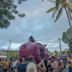 carna_porco_2020_dia_2_n3mjyfv9br.jpg