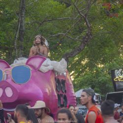 carna_porco_2020_dia_2_sjm8nrqgzz.jpg